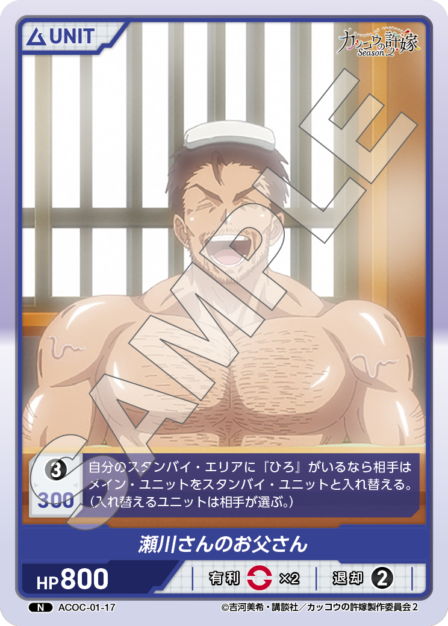 Card 017 N waifu card — ACOC-01