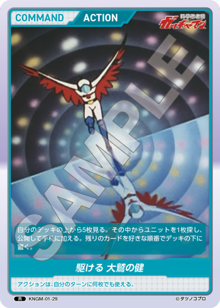 Card 029 R waifu card — KNGM-01