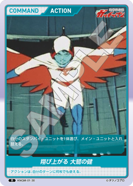Card 030 R waifu card — KNGM-01
