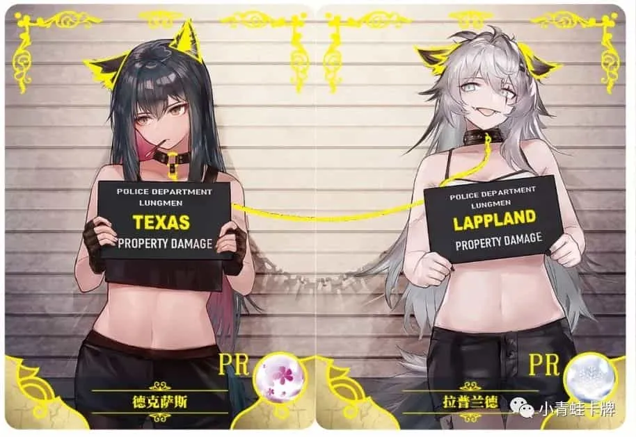 NS-02-M06 #013 PR waifu card