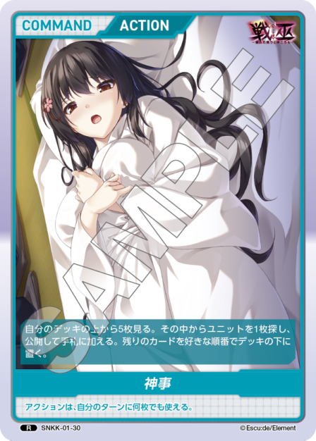 Card 030 R waifu card — SNKK-01