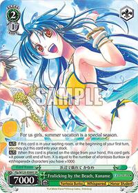 Kaname (SR) SR waifu card — Weiss Schwarz