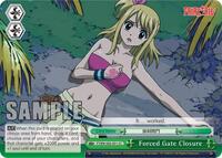 Forced Gate Closure CC waifu card — Weiss Schwarz