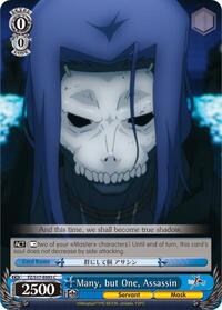 Assassin C waifu card — Weiss Schwarz