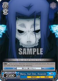 Assassin Reprint waifu card — Weiss Schwarz