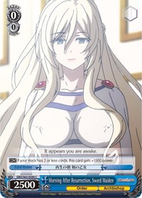 Sword Maiden C waifu card — Weiss Schwarz